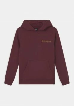 Element Enfant BLAZIN CHEST HOOD Sweatshirt Vintage Red