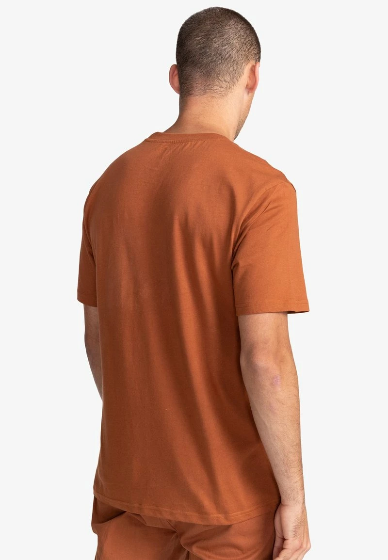Element Homme BLAZIN CHEST T Shirt Imprimé Mocha Bisque â Image 3