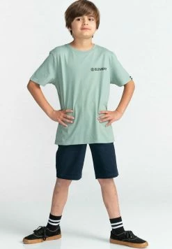 Element Enfant BLAZIN CHEST MANCHES COURTES T Shirt Imprimé Chinoisgreen